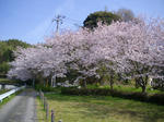 IMGP1312.JPG