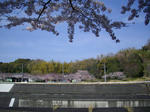 IMGP1318.JPG