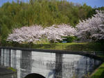 IMGP1321.JPG