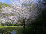 IMGP1322.JPG