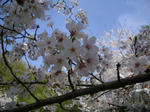 IMGP1324.JPG