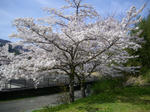 IMGP1325.JPG