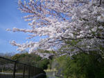 IMGP1329.JPG
