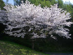 IMGP1330.JPG