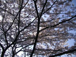 IMGP1343.JPG