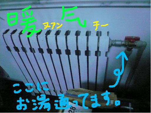 329c870b.jpg