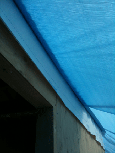 2.16-1.gif