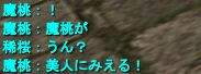 07509df8jpeg
