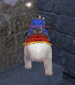 23b341ad.jpeg