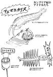 かんぶり
