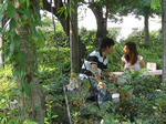 IMG_4654.jpg