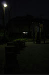 153225_851781529_246large.jpg