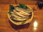 岩魚