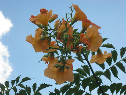 resize0992.jpg