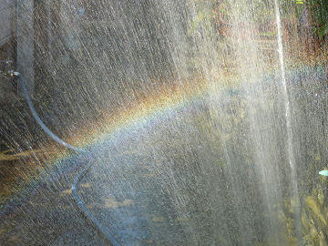 resize1070.jpg