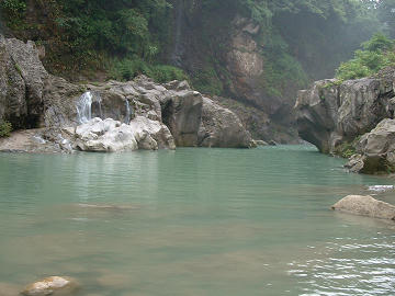resize1231.jpg
