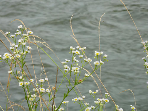 resize0963.jpg