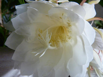 resize1287.jpg