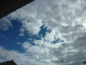 resize1331.jpg