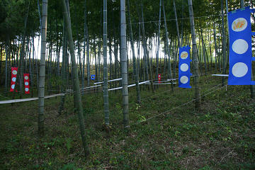 resize1420.jpg
