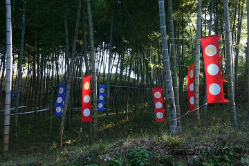 uchikawa10-3.jpg