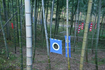 uchikawa10-18.jpg