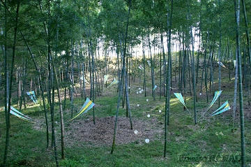 uchikawa07-01.jpg