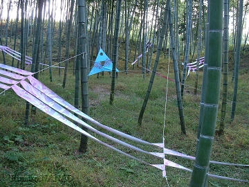 uchikawa06-01.jpg