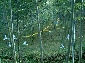 uchikawa05-01.jpg