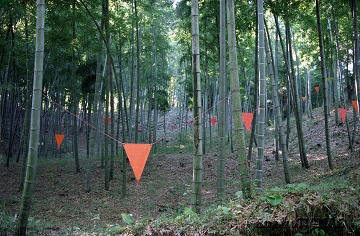 uchikawa95-01.jpg