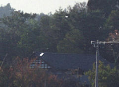 resize1479.jpg