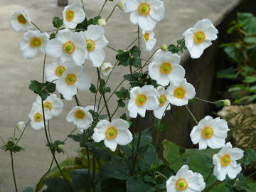 resize1494.jpg