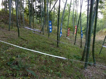 uchi10-09.jpg