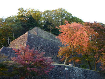 resize1593.jpg