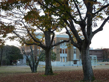 resize1594.jpg