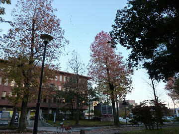 resize1601.jpg