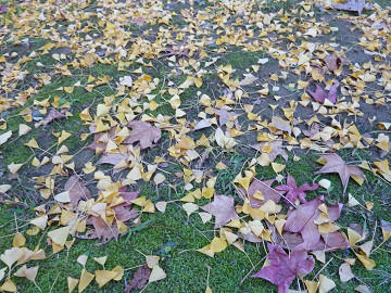 resize1599.jpg