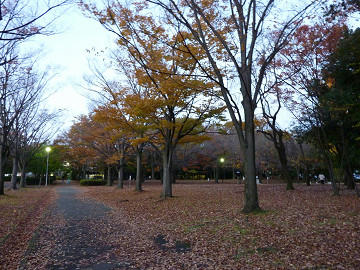 resize1611.jpg