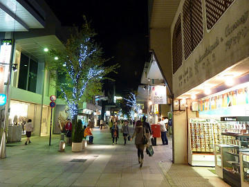 resize1548.jpg