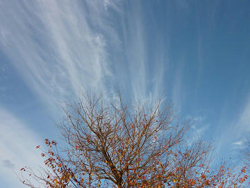 resize1715.jpg