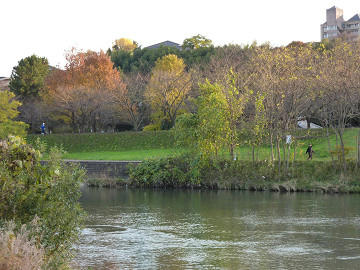 resize1732.jpg