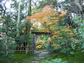 resize1747.jpg