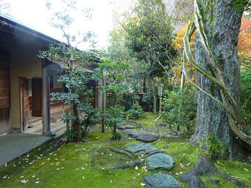 resize1757.jpg
