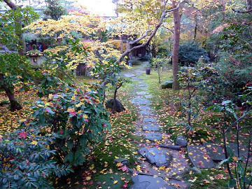 resize1762.jpg