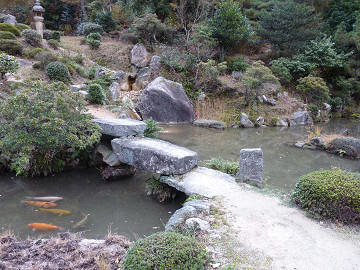 resize1779.jpg