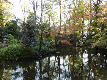 resize1798.jpg