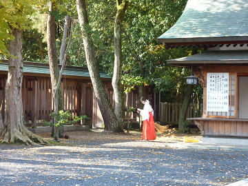 resize1820.jpg