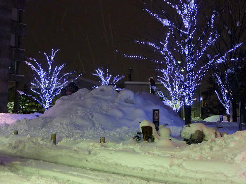 resize2212.jpg