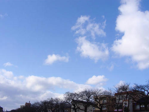 resize0656.jpg