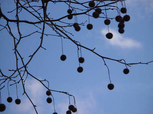 resize0658.jpg